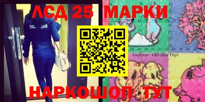 шишки Гагарин
