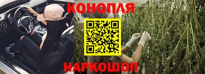 шишки Гагарин
