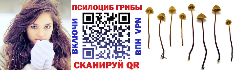 Псилоцибиновые грибы Magic Shrooms  KRAKEN зеркало  Калач-на-Дону 